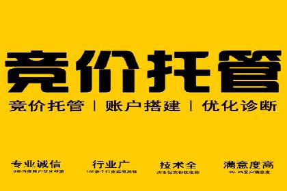 某行业竞价推广的挑战与机遇——多案例研究
